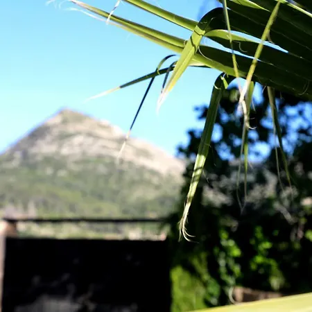 Svenniisland Benicolet