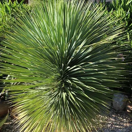 아파트 Svenniisland *