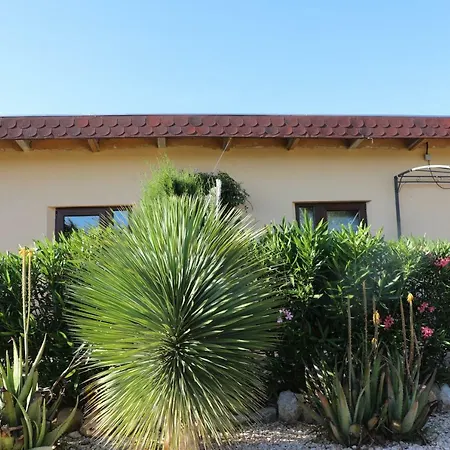 아파트 Svenniisland Benicolet