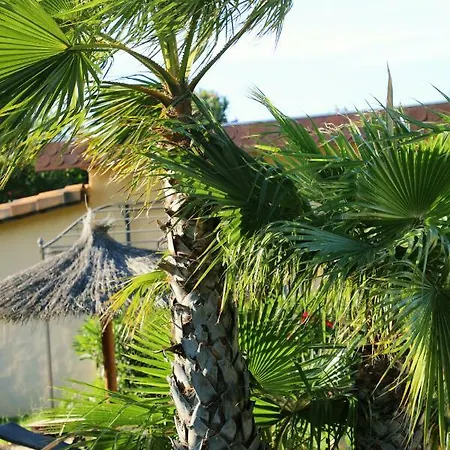 아파트 Svenniisland Benicolet